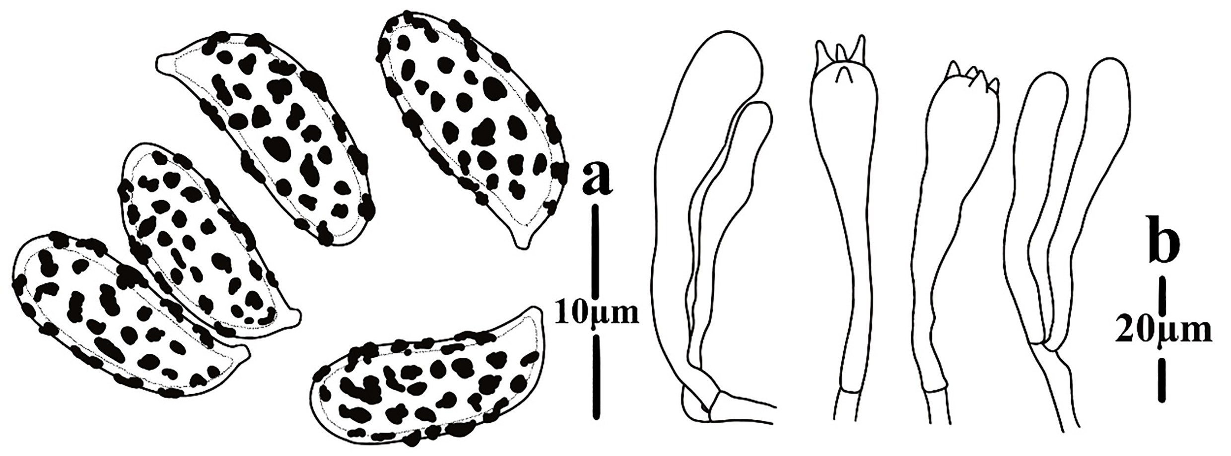 Figure 108
